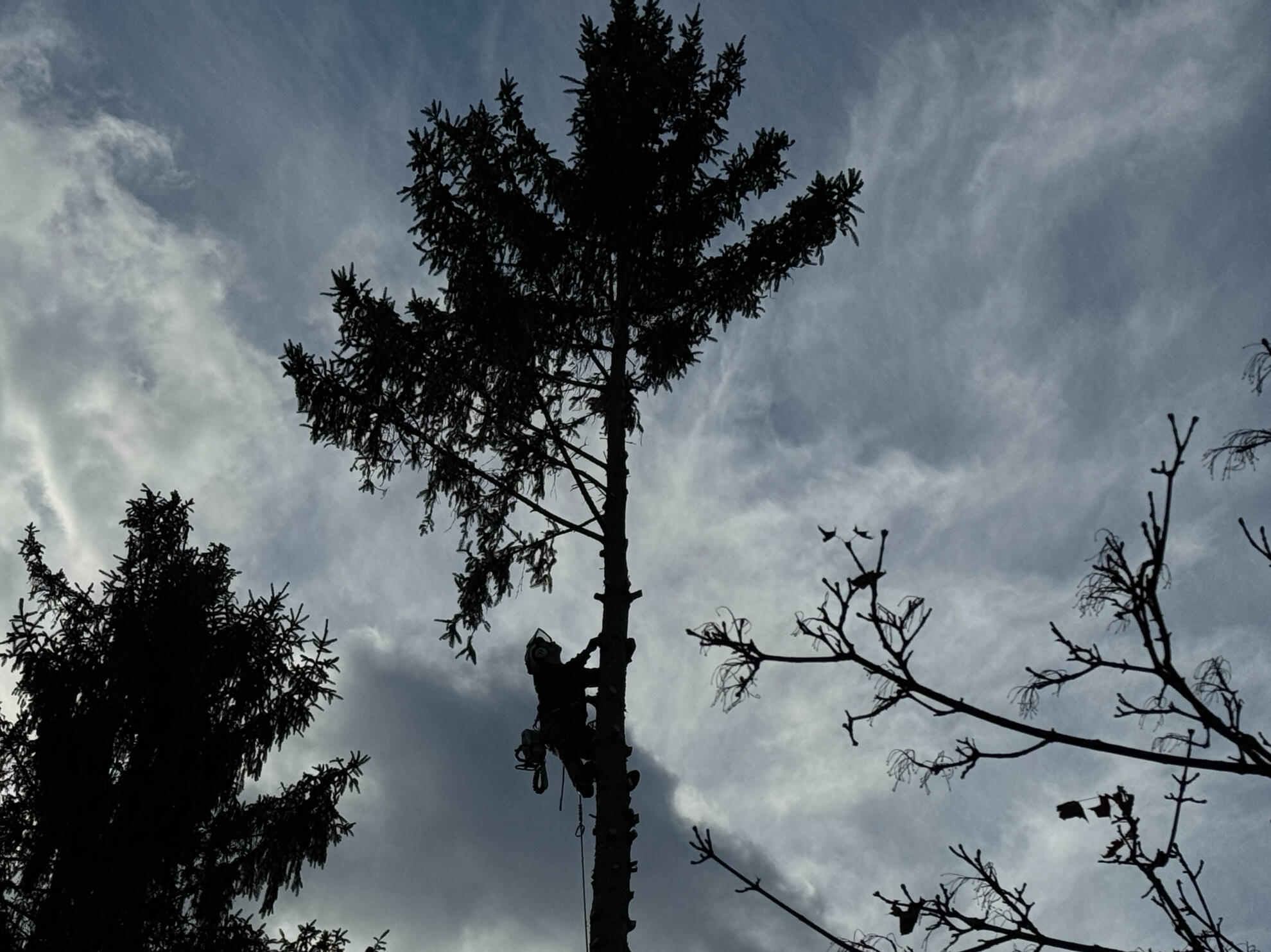 Ricky's Home and Lawn Repair - (680) 666-0189 | Expert land excavation services in Central New York. https://rickyshomeandlawn.com