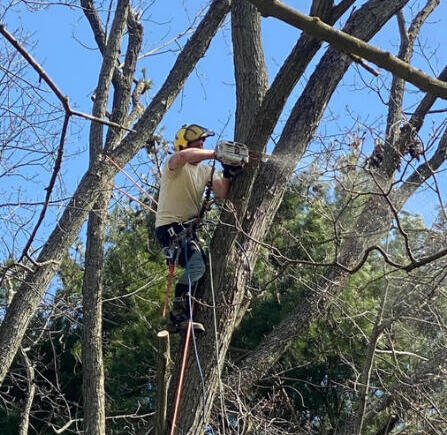 Ricky's Home and Lawn Repair - (680) 666-0189 | Expert land excavation services in Central New York. https://rickyshomeandlawn.com